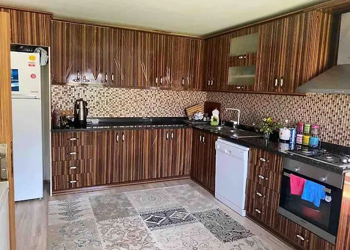 Tuzlada Ferah Alani Havuz,bahce Ve Tuem Rahatliklar Kisiye Oezel Alan Villa Istanbul